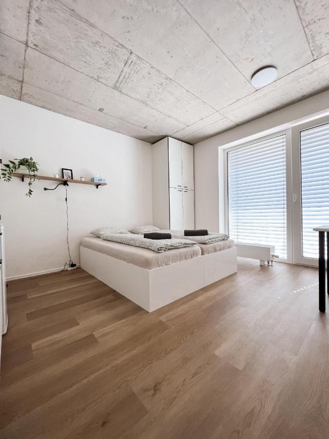 Celestial Apartments Brno Eksteriør billede